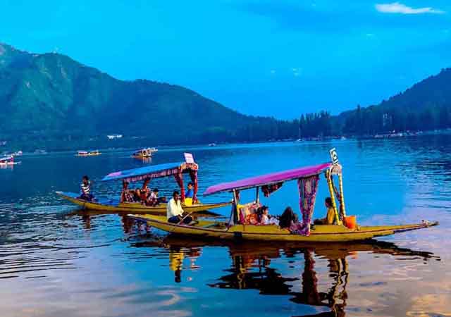 Tour and Travel in Jammu